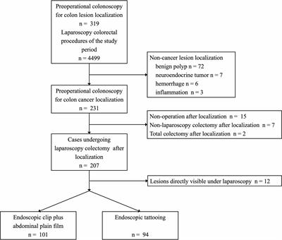 Clip or Tattooing: A Comparative Study for Preoperative Colon Cancer Endoscopic Localization